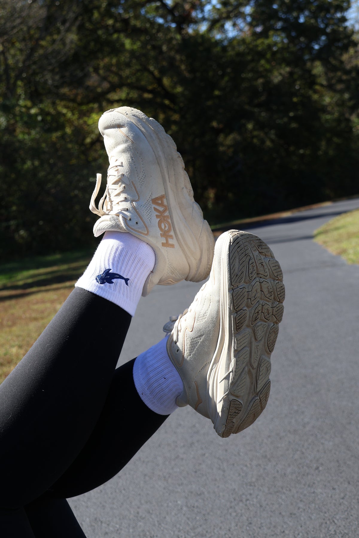 Whale Shark Embroidered Crew Socks
