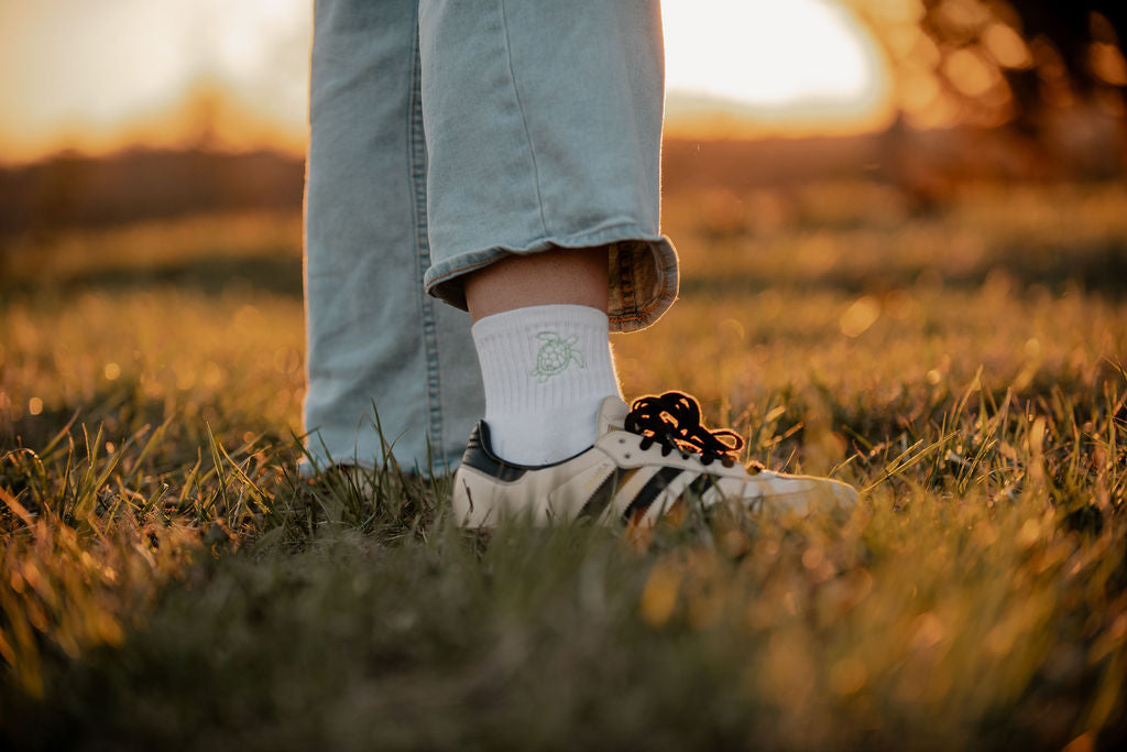 Embroidered Crew Socks Pack of 3